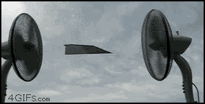 gfn.gif