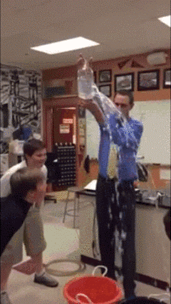 ff89e6a9f10b68863e8eb1b0d9308835 (1).GIF