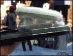4f1aca745c0c092464459628549cf6f1 (1).GIF
