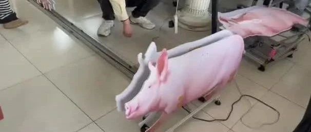 济南匠人匠心科技教育