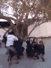 b5bdda68032e929c660f83a1bfa16b6a (1).GIF